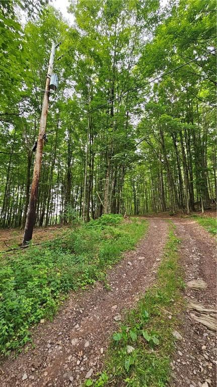 0 Freer Hollow Rd, Franklin, NY 13775 - photo 6