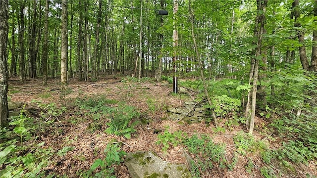 0 Freer Hollow Rd, Franklin, NY 13775 - photo 7