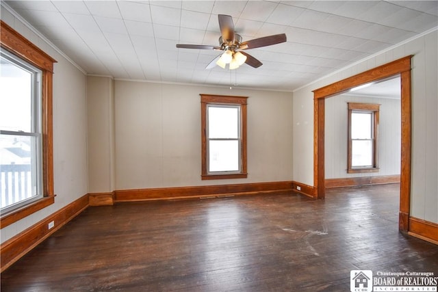 spare room with ornamental molding, a wealth of natural light, and dark wood-style flooring