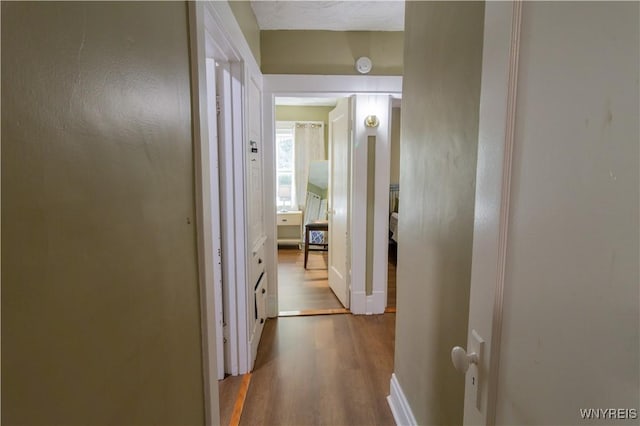 hallway featuring wood finished floors