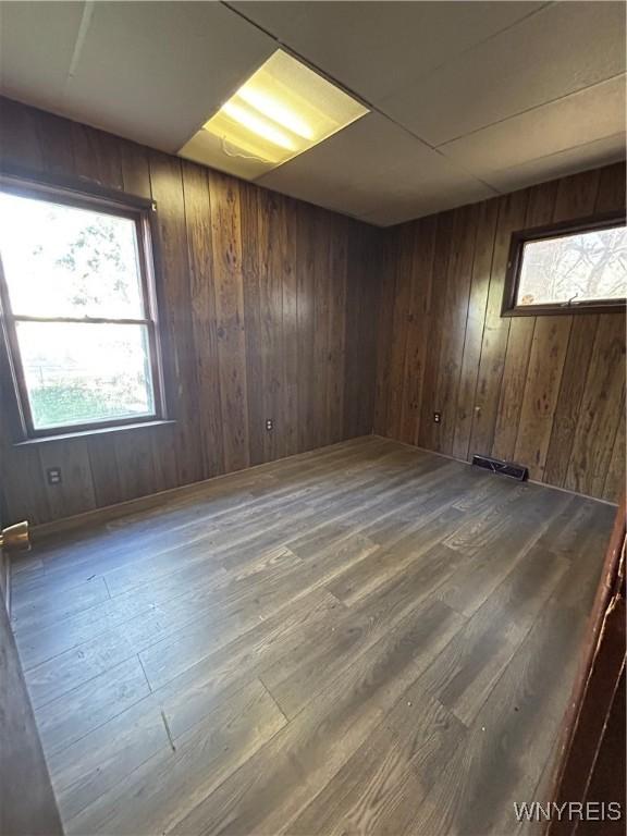 spare room featuring a healthy amount of sunlight, wood walls, and wood finished floors