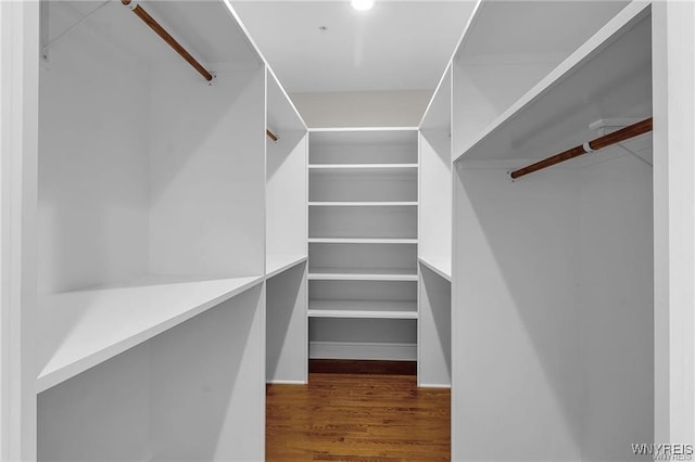 walk in closet with wood finished floors