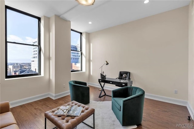 interior space with baseboards, a city view, and wood finished floors