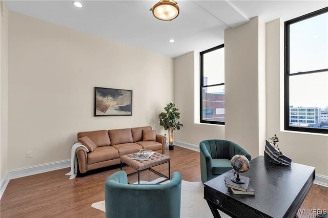 living area with baseboards, wood finished floors, and a healthy amount of sunlight