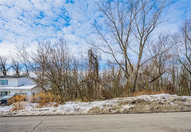 99 Passaic Ave, Lockport-City NY, 14094 land for sale