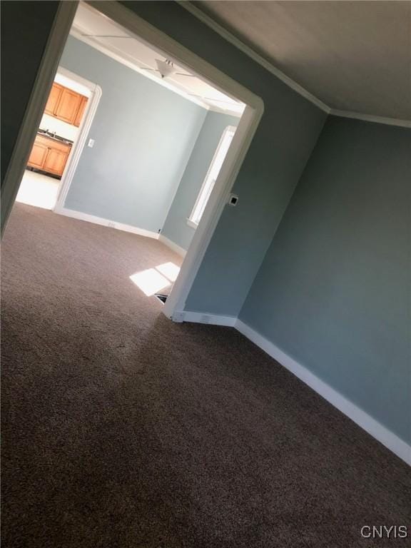 additional living space with baseboards and carpet flooring