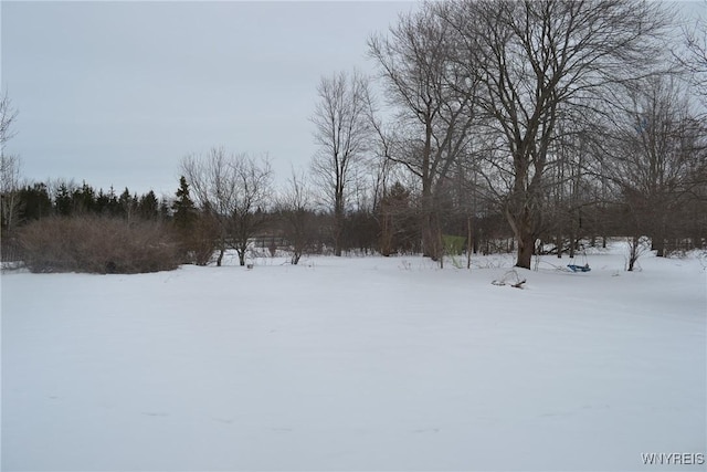 view of yard layered in snow