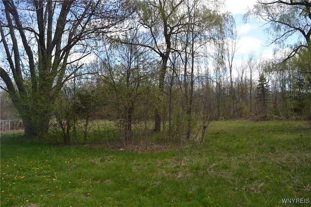 2021 Ferrier Rd, Eden, NY 14057 - view of undeveloped land