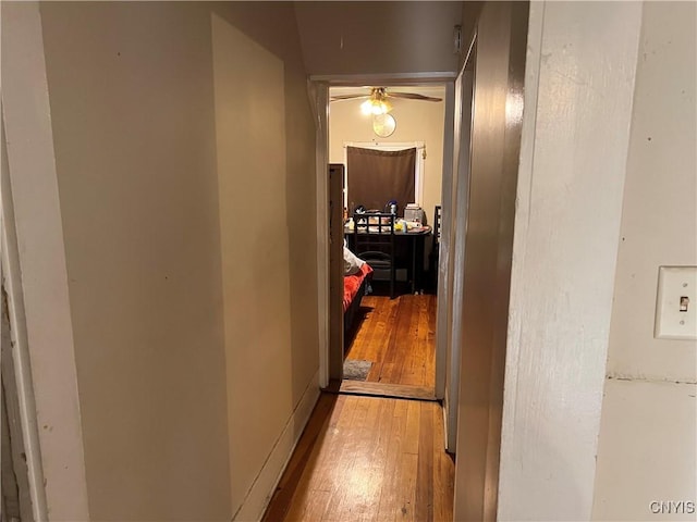 hallway featuring wood finished floors