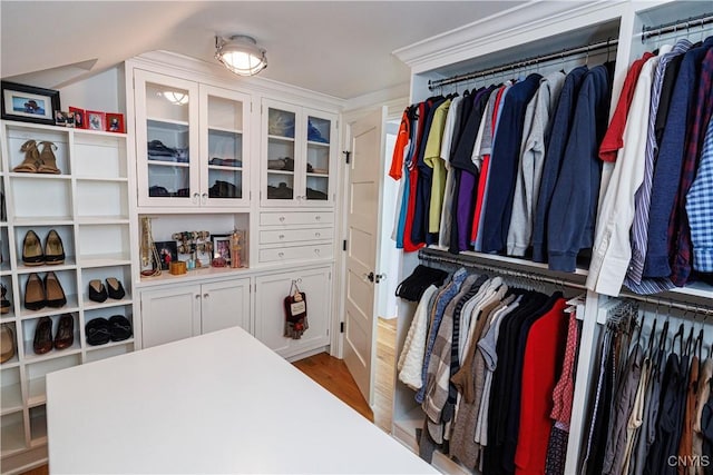 spacious closet with wood finished floors