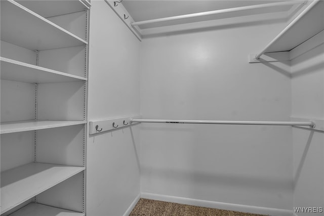 walk in closet with carpet