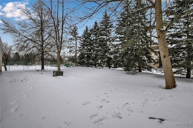 yard layered in snow with a garage