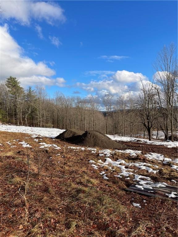 view of snow covered land