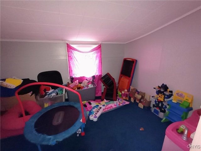 playroom with carpet floors and crown molding