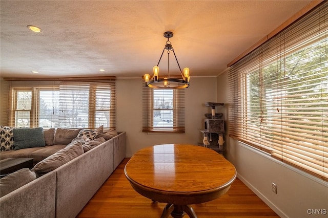 dining space featuring a textured ceiling, a wealth of natural light, and wood finished floors