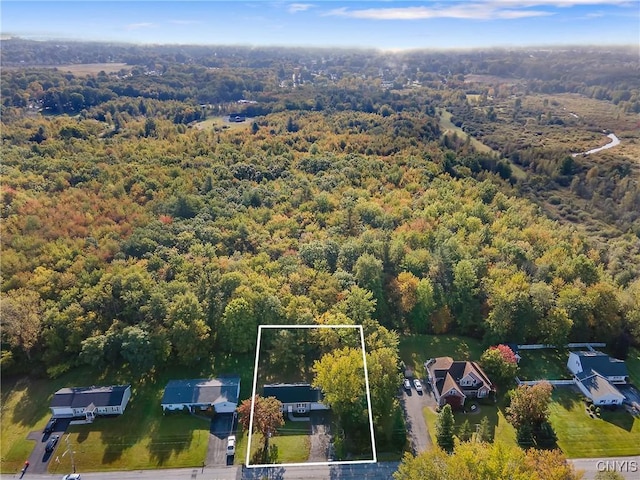 bird's eye view with a forest view