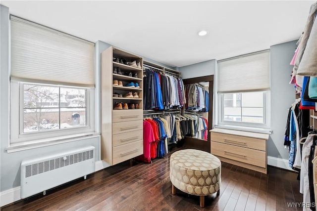 spacious closet featuring dark wood-type flooring and radiator heating unit