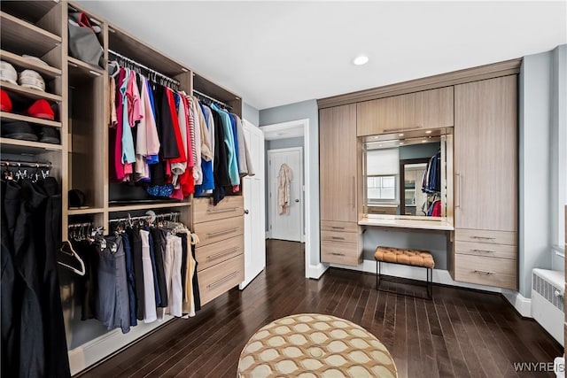 walk in closet featuring radiator heating unit and dark wood finished floors