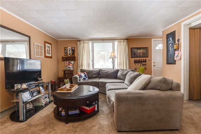 living area featuring a healthy amount of sunlight, carpet, and ornamental molding