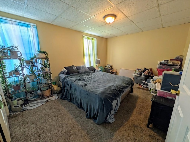 bedroom featuring dark colored carpet, multiple windows, and a paneled ceiling