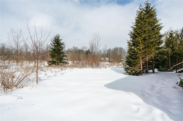 view of yard covered in snow