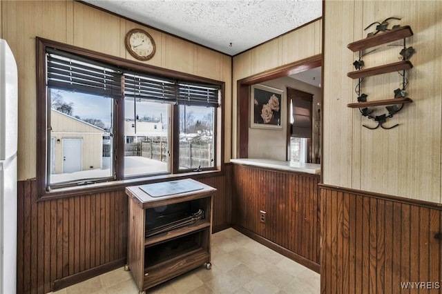 interior space with a textured ceiling, light floors, wood walls, and plenty of natural light