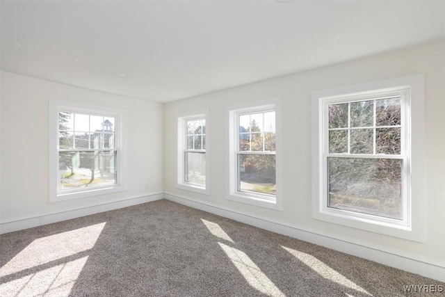 empty room featuring carpet flooring