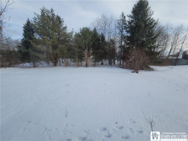 view of snowy yard