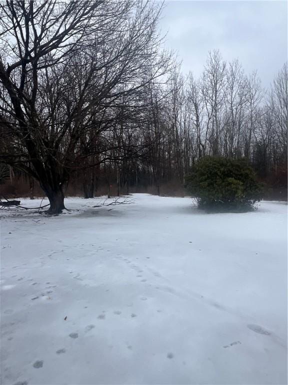 view of yard covered in snow