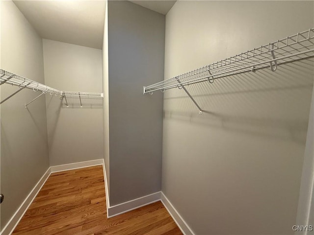 walk in closet featuring wood finished floors