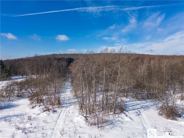 view of snow covered land