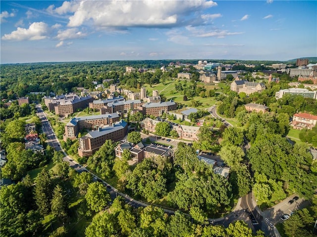 bird's eye view