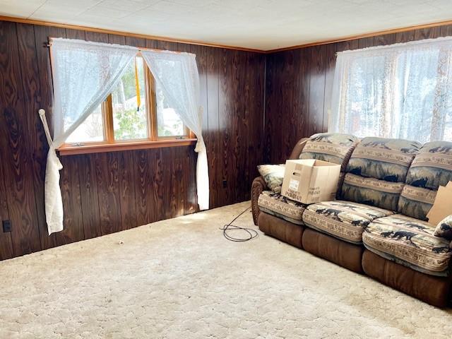 246 S Marvin St, Smethport-Borough, PA 16749 - living area featuring carpet flooring and wooden walls