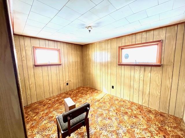 246 S Marvin St, Smethport-Borough, PA 16749 - carpeted spare room featuring wood walls