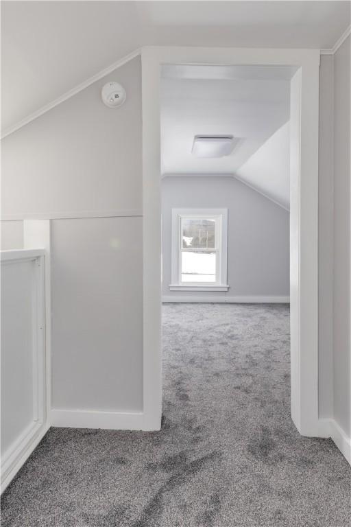 bonus room featuring vaulted ceiling and carpet