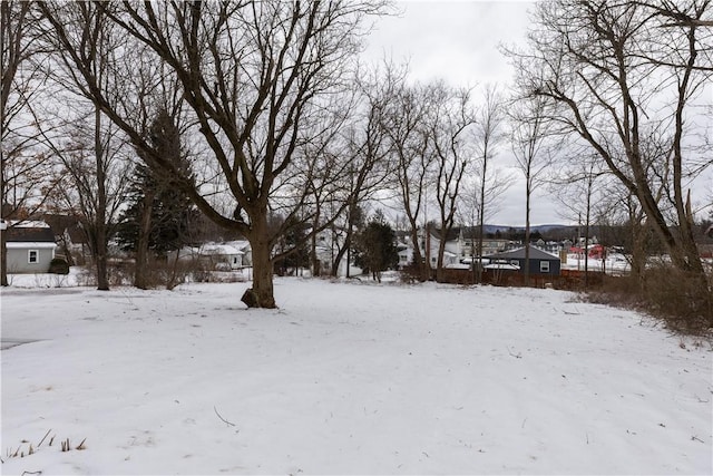 view of yard covered in snow