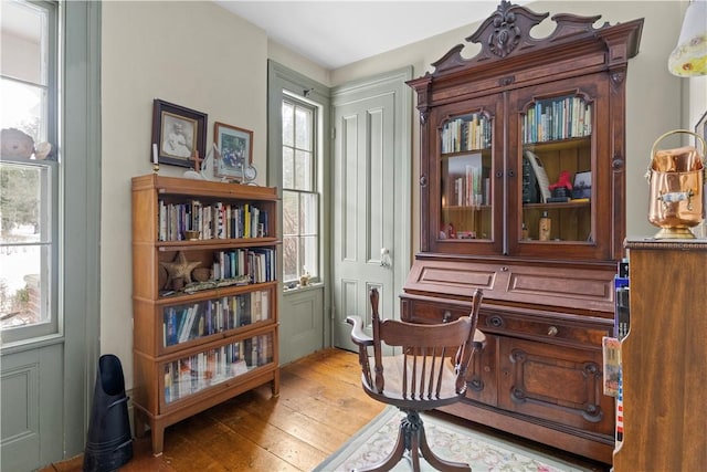 living area featuring hardwood / wood-style floors