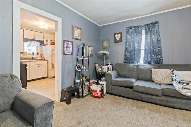 living area featuring ornamental molding and light colored carpet