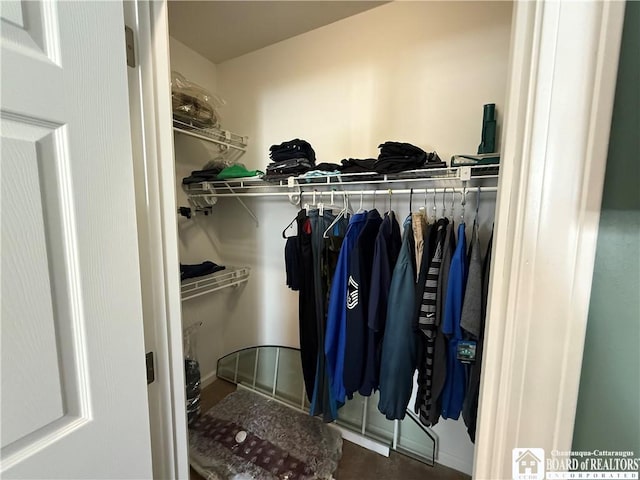 view of walk in closet