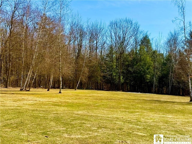 view of yard featuring a wooded view