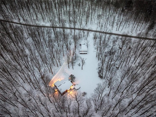 view of snowy aerial view