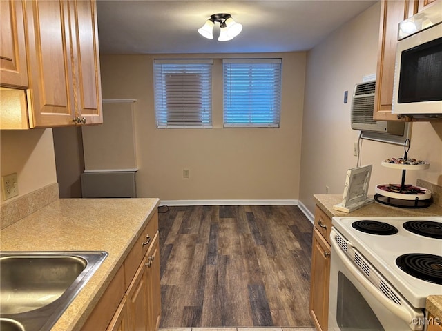 kitchen with baseboards, stainless steel microwave, dark wood-type flooring, light countertops, and a sink