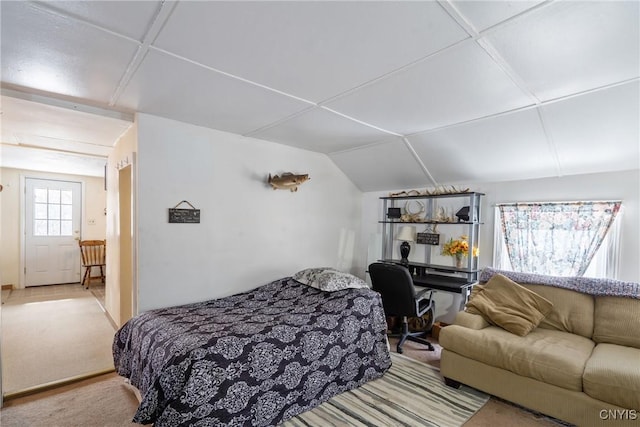 213 Salisbury St, Sandy Creek, NY 13145 - bedroom featuring lofted ceiling