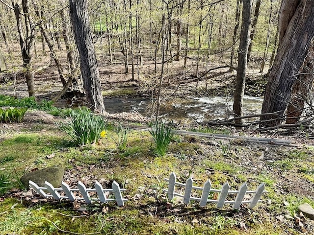 213 Salisbury St, Sandy Creek, NY 13145 - view of yard
