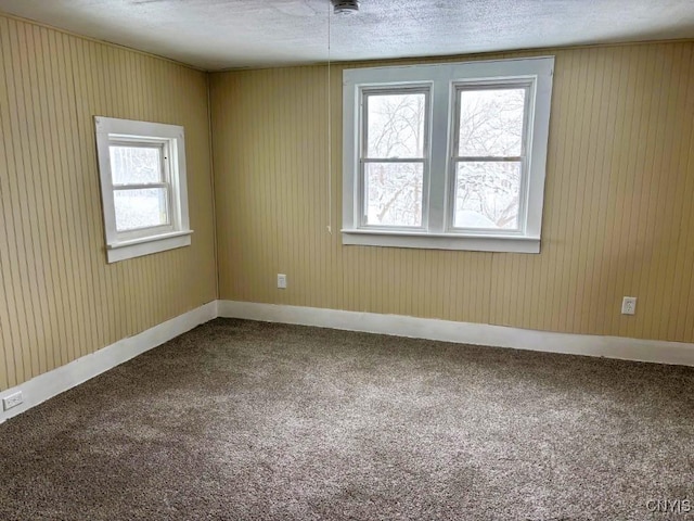 unfurnished room featuring carpet floors, a textured ceiling, and a wealth of natural light