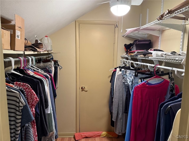 spacious closet with vaulted ceiling