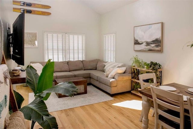 living room with lofted ceiling and wood finished floors