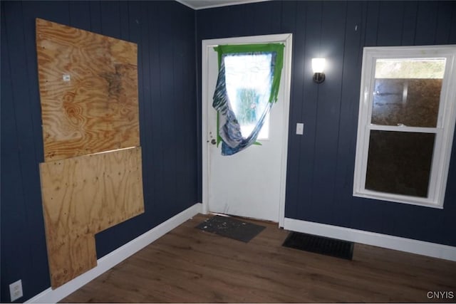 entrance foyer featuring dark wood-style floors, a wealth of natural light, and baseboards