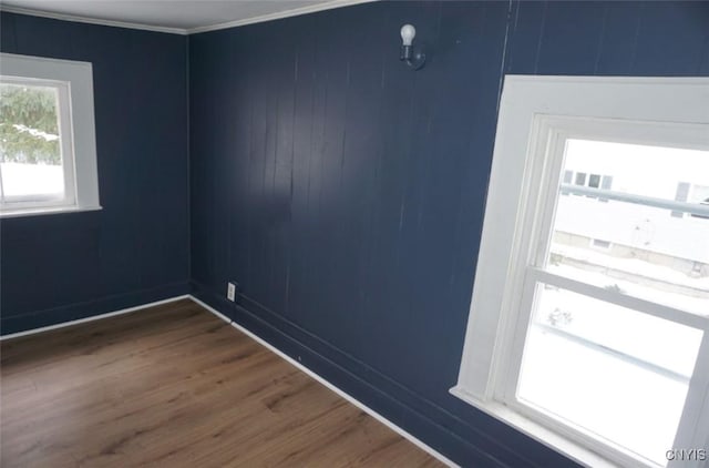 spare room with ornamental molding and dark wood-type flooring