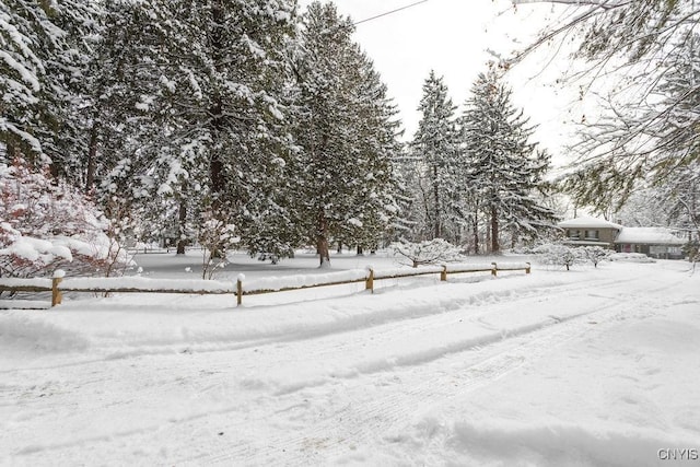 view of yard covered in snow